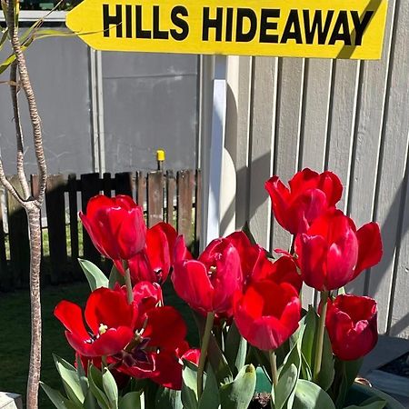 Hill'S Hideaway Hotel Dargaville Esterno foto