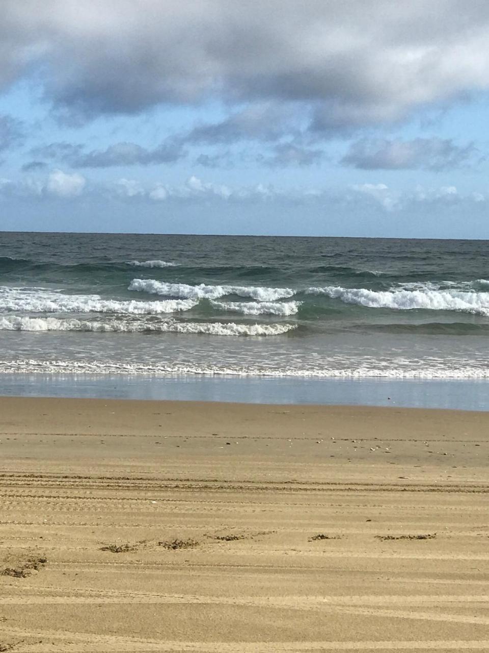 Hill'S Hideaway Hotel Dargaville Esterno foto